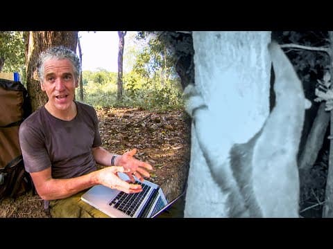 Never Before Seen Giant Anteater Behaviour | The Dark:  Nature's Nighttime World | BBC Earth