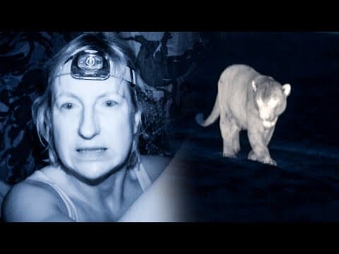 Jaguar Approaches Lone Camerawoman | The Dark:  Nature's Nighttime World | BBC Earth